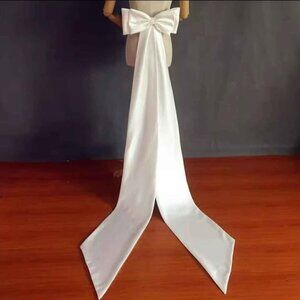 Clip On Satin Bow Train